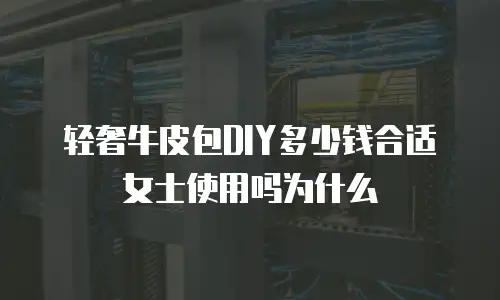 轻奢牛皮包DIY多少钱合适女士使用吗为什么