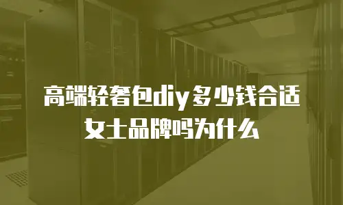 高端轻奢包diy多少钱合适女士品牌吗为什么
