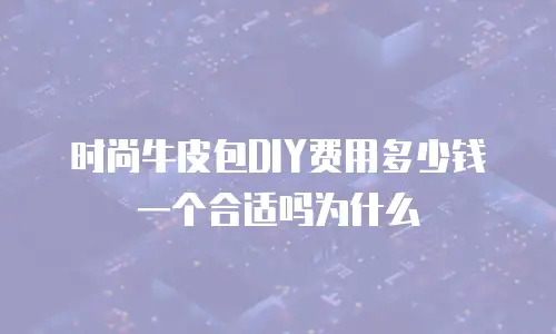时尚牛皮包DIY费用多少钱一个合适吗为什么