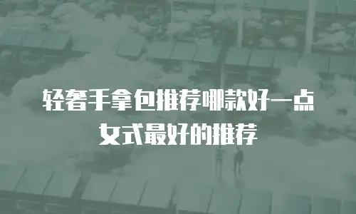 轻奢手拿包推荐哪款好一点女式最好的推荐
