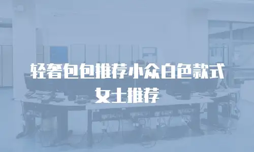 轻奢包包推荐小众白色款式女士推荐
