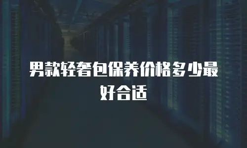 男款轻奢包保养价格多少最好合适