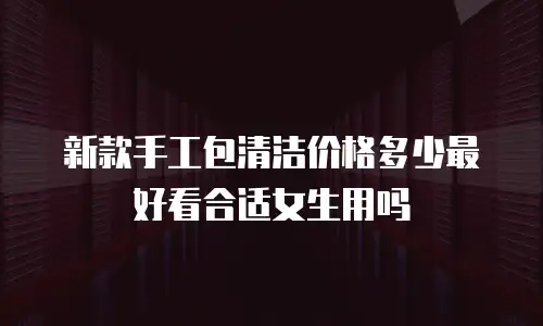 新款手工包清洁价格多少最好看合适女生用吗