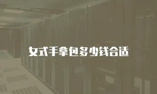 女式手拿包多少钱合适