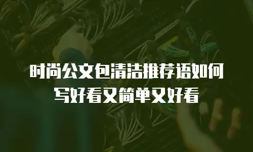时尚公文包清洁推荐语如何写好看又简单又好看