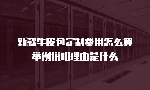 新款牛皮包定制费用怎么算举例说明理由是什么