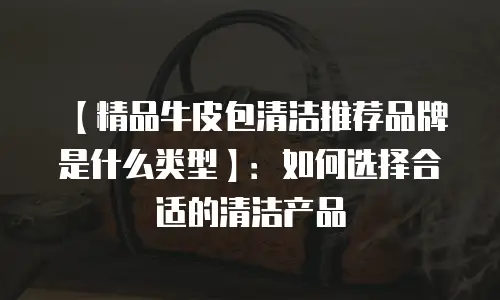 【精品牛皮包清洁推荐品牌是什么类型】：如何选择合适的清洁产品