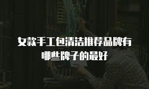 女款手工包清洁推荐品牌有哪些牌子的最好