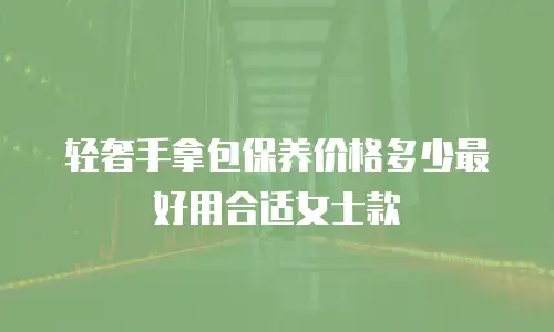 轻奢手拿包保养价格多少最好用合适女士款