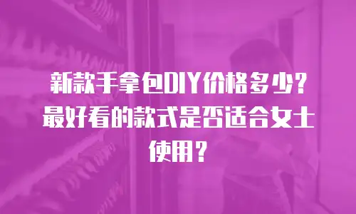 新款手拿包DIY价格多少？最好看的款式是否适合女士使用？