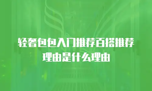 轻奢包包入门推荐百搭推荐理由是什么理由