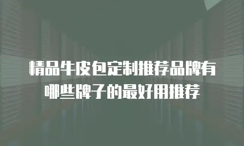 精品牛皮包定制推荐品牌有哪些牌子的最好用推荐