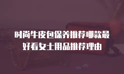 时尚牛皮包保养推荐哪款最好看女士用品推荐理由