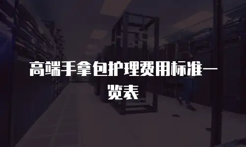 高端手拿包护理费用标准一览表