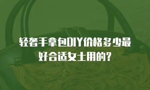 轻奢手拿包DIY价格多少最好合适女士用的？