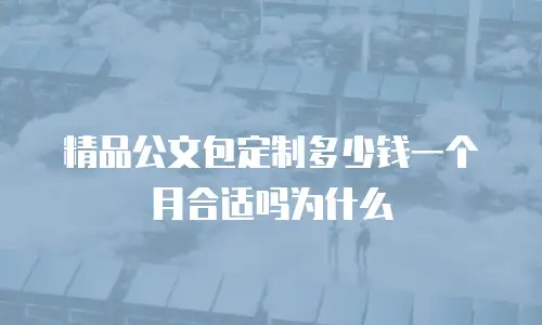 精品公文包定制多少钱一个月合适吗为什么