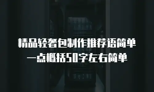 精品轻奢包制作推荐语简单一点概括50字左右简单