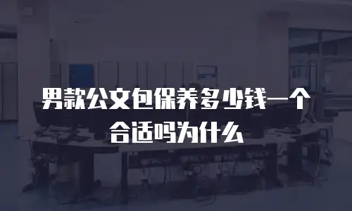 男款公文包保养多少钱一个合适吗为什么