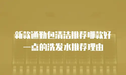 新款通勤包清洁推荐哪款好一点的洗发水推荐理由