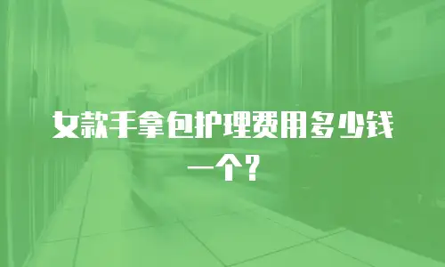 女款手拿包护理费用多少钱一个？