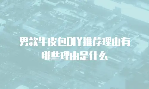 男款牛皮包DIY推荐理由有哪些理由是什么