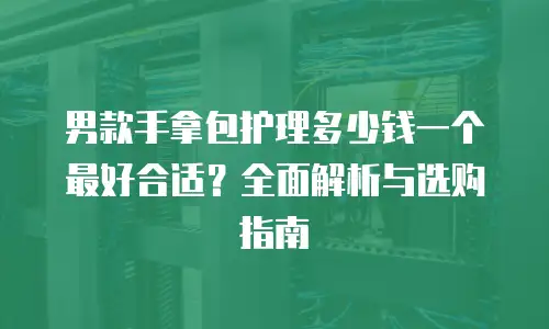 男款手拿包护理多少钱一个最好合适？全面解析与选购指南