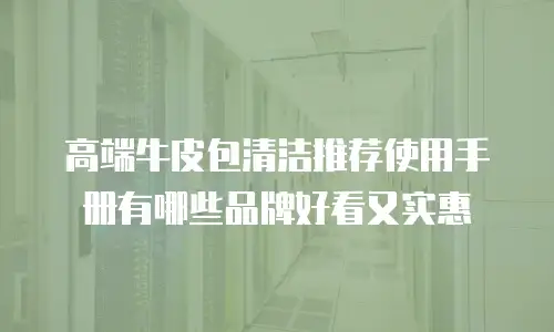 高端牛皮包清洁推荐使用手册有哪些品牌好看又实惠
