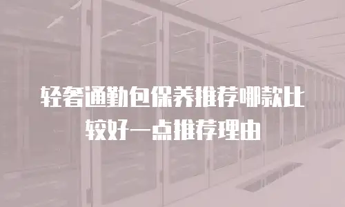 轻奢通勤包保养推荐哪款比较好一点推荐理由