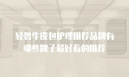 轻奢牛皮包护理推荐品牌有哪些牌子最好看的推荐