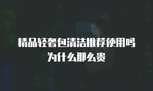 精品轻奢包清洁推荐使用吗为什么那么贵