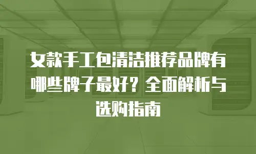 女款手工包清洁推荐品牌有哪些牌子最好？全面解析与选购指南