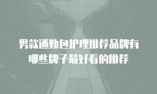 男款通勤包护理推荐品牌有哪些牌子最好看的推荐