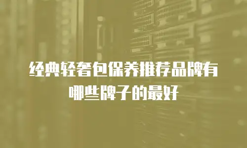 经典轻奢包保养推荐品牌有哪些牌子的最好