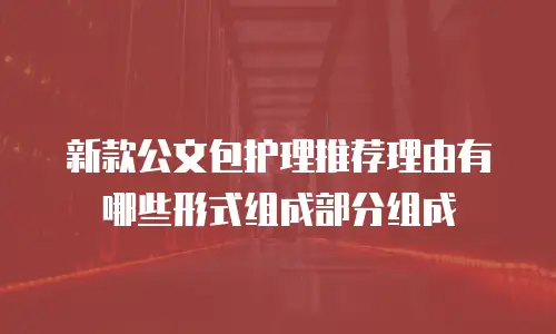 新款公文包护理推荐理由有哪些形式组成部分组成