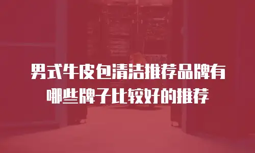 男式牛皮包清洁推荐品牌有哪些牌子比较好的推荐