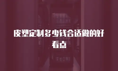 皮塑定制多少钱合适做的好看点