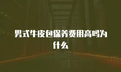 男式牛皮包保养费用高吗为什么