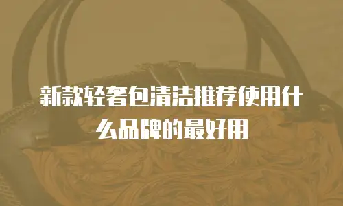 新款轻奢包清洁推荐使用什么品牌的最好用