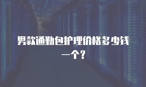 男款通勤包护理价格多少钱一个？