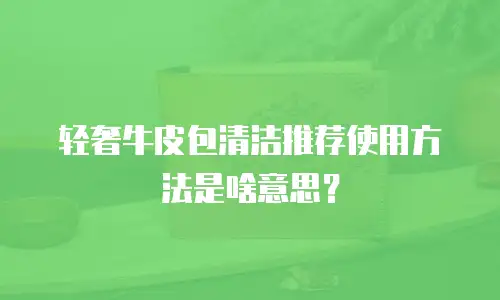 轻奢牛皮包清洁推荐使用方法是啥意思？