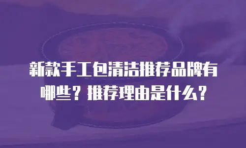 新款手工包清洁推荐品牌有哪些？推荐理由是什么？