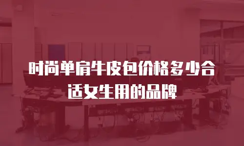 时尚单肩牛皮包价格多少合适女生用的品牌