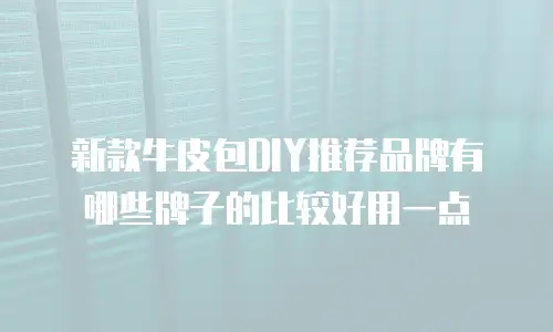 新款牛皮包DIY推荐品牌有哪些牌子的比较好用一点