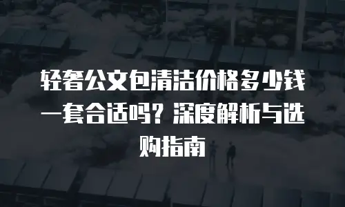 轻奢公文包清洁价格多少钱一套合适吗？深度解析与选购指南