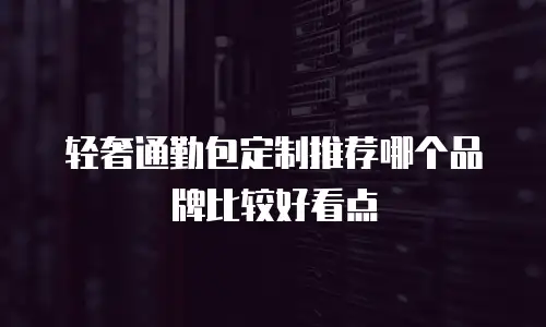 轻奢通勤包定制推荐哪个品牌比较好看点
