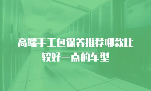 高端手工包保养推荐哪款比较好一点的车型