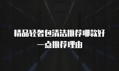 精品轻奢包清洁推荐哪款好一点推荐理由