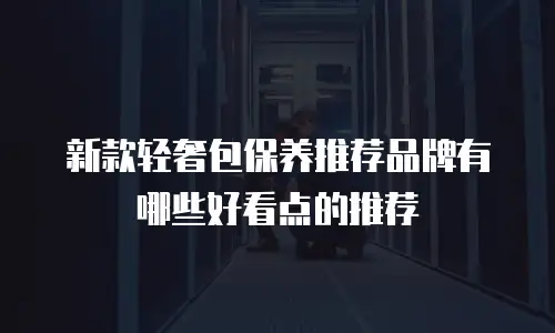 新款轻奢包保养推荐品牌有哪些好看点的推荐