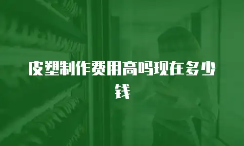 皮塑制作费用高吗现在多少钱