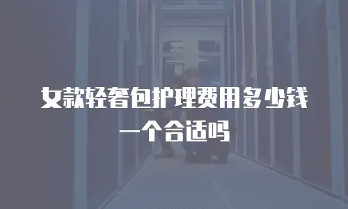 女款轻奢包护理费用多少钱一个合适吗